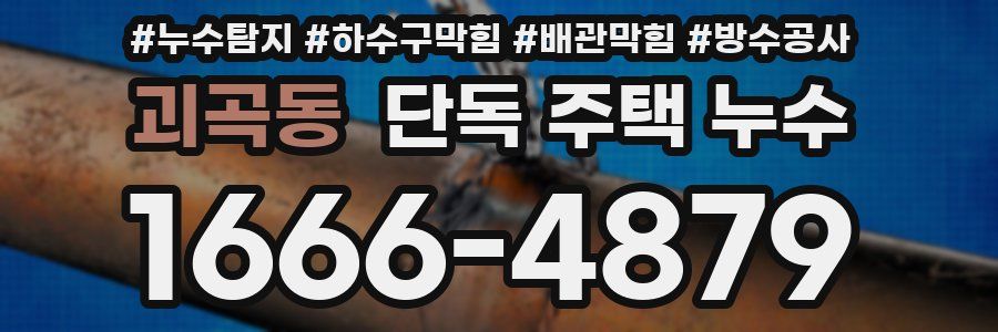 괴곡동 단독 주택 누수