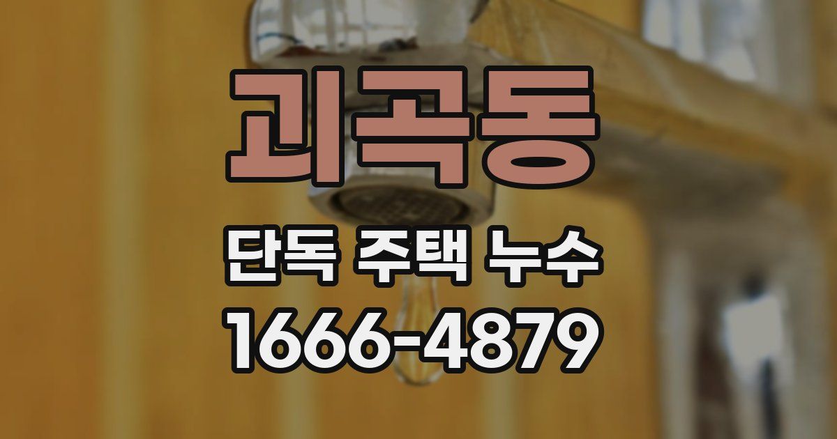 괴곡동 단독 주택 누수