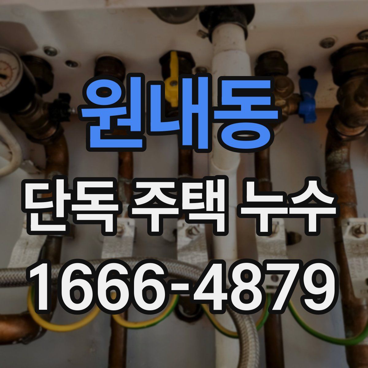 원내동 단독 주택 누수