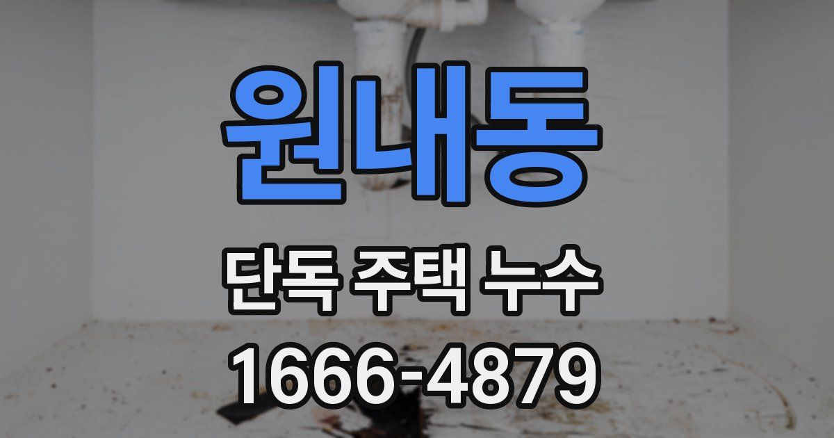 원내동 단독 주택 누수
