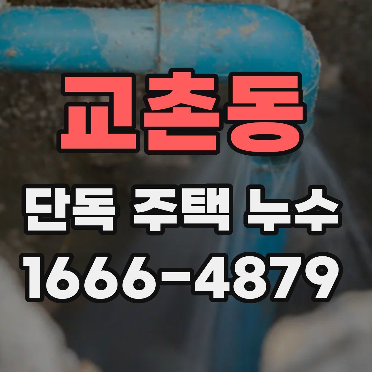 교촌동 단독 주택 누수