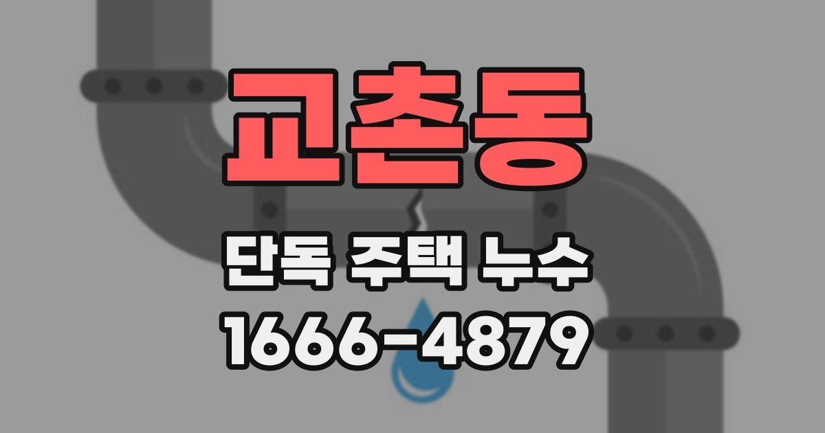 교촌동 단독 주택 누수