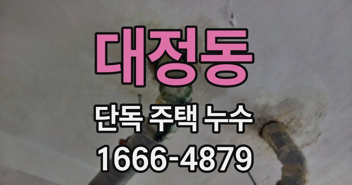 대정동 단독 주택 누수