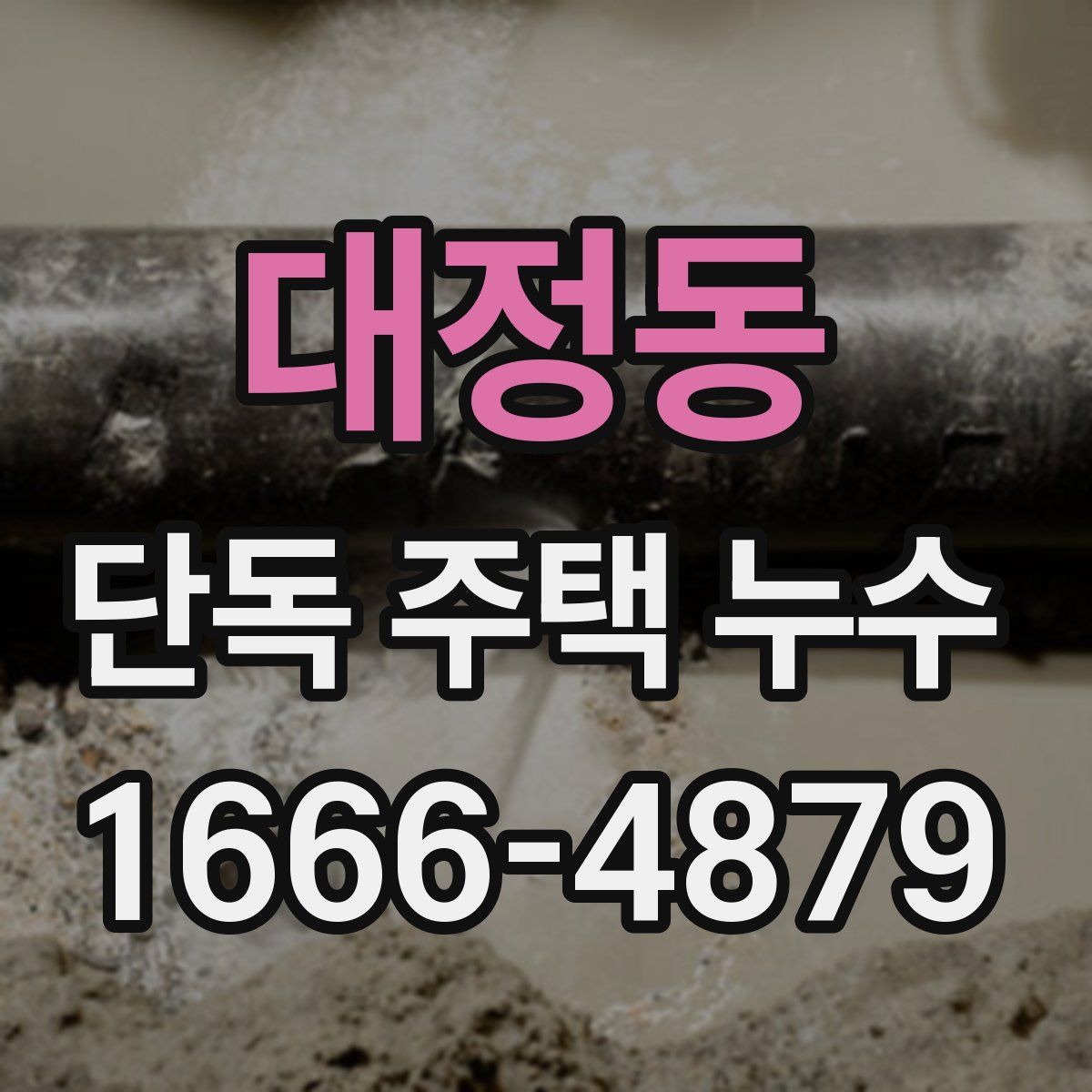 대정동 단독 주택 누수