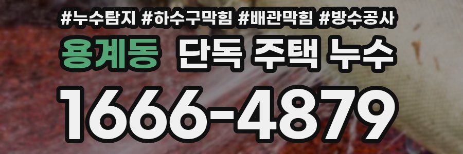 용계동 단독 주택 누수