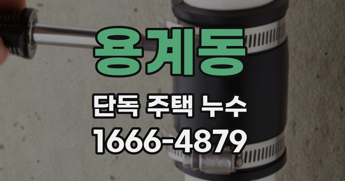 용계동 단독 주택 누수
