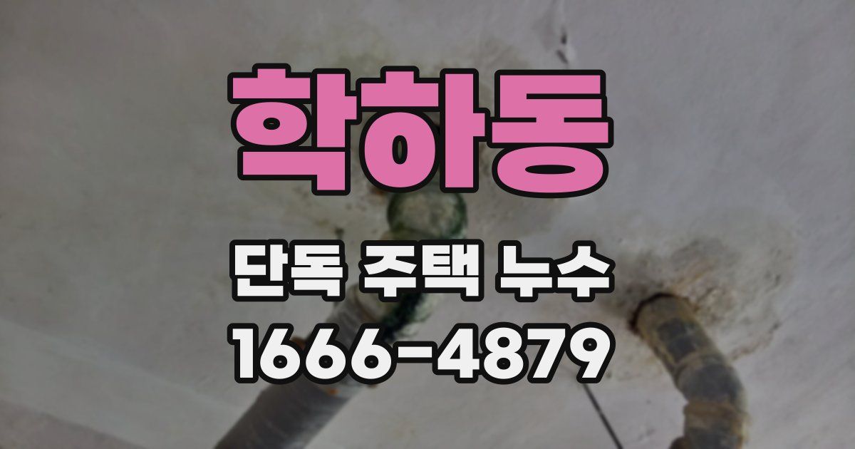학하동 단독 주택 누수