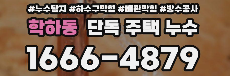 학하동 단독 주택 누수