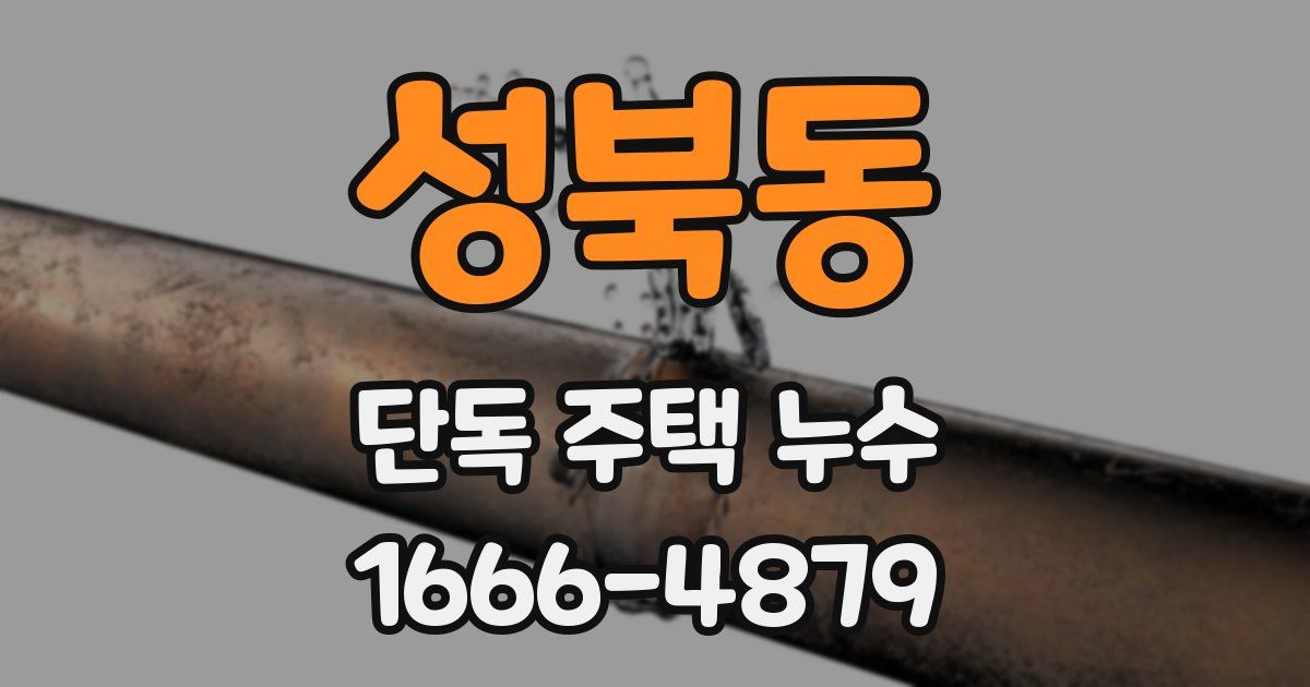 성북동 단독 주택 누수