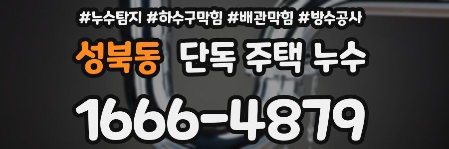성북동 단독 주택 누수