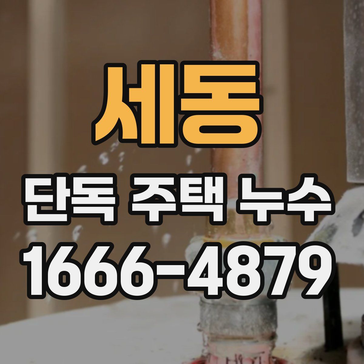 세동 단독 주택 누수