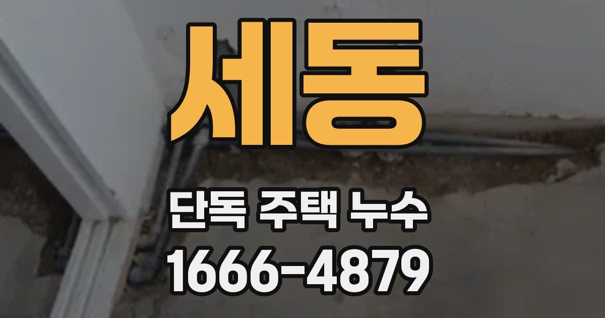 세동 단독 주택 누수