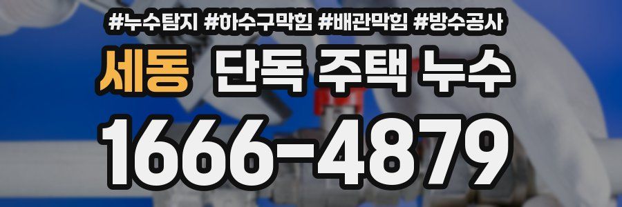 세동 단독 주택 누수