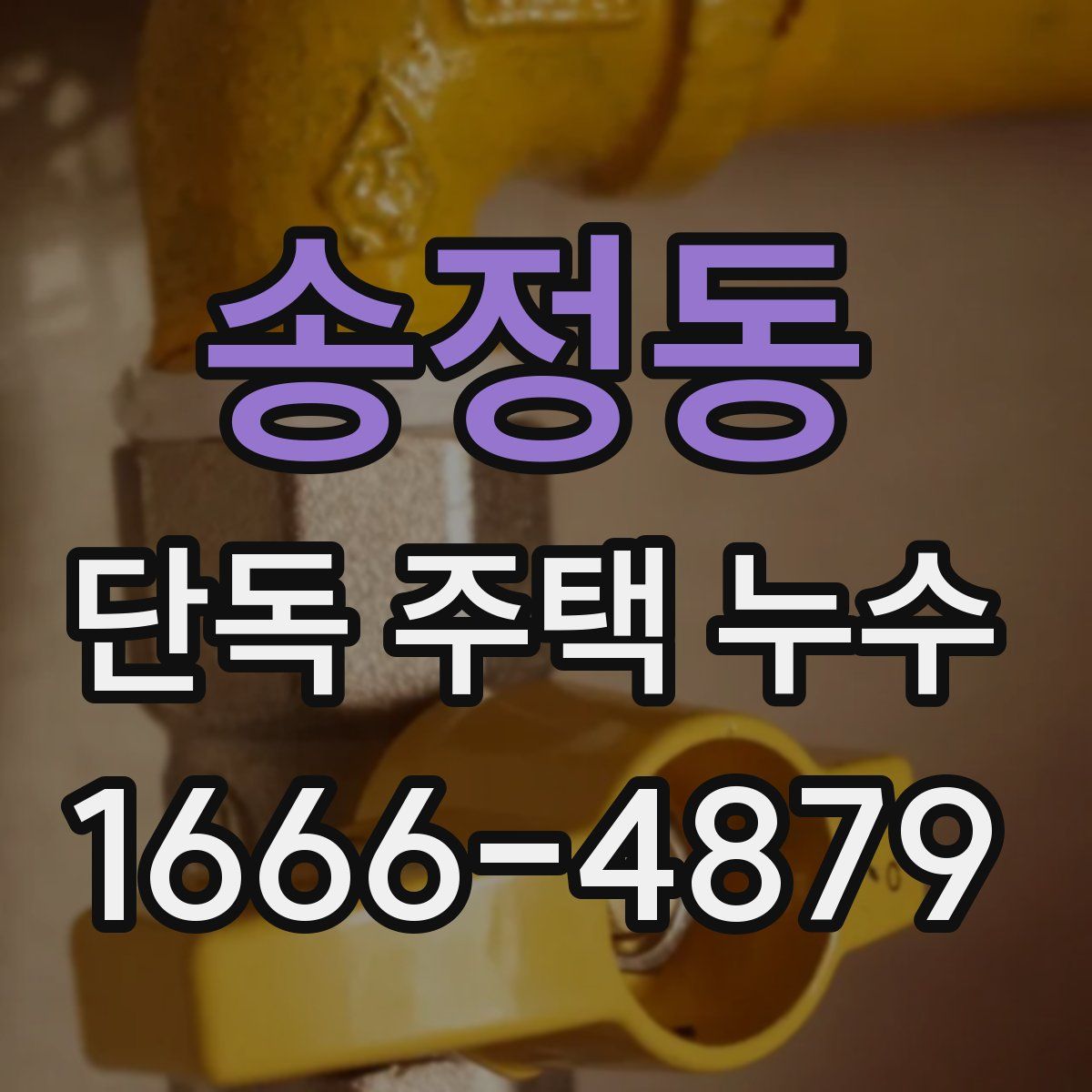 송정동 단독 주택 누수