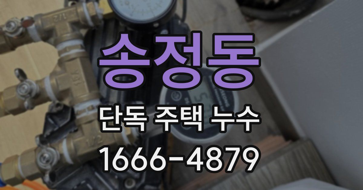 송정동 단독 주택 누수