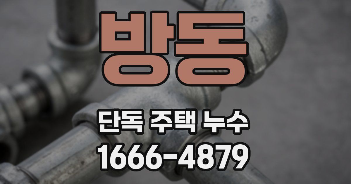 방동 단독 주택 누수