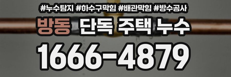 방동 단독 주택 누수