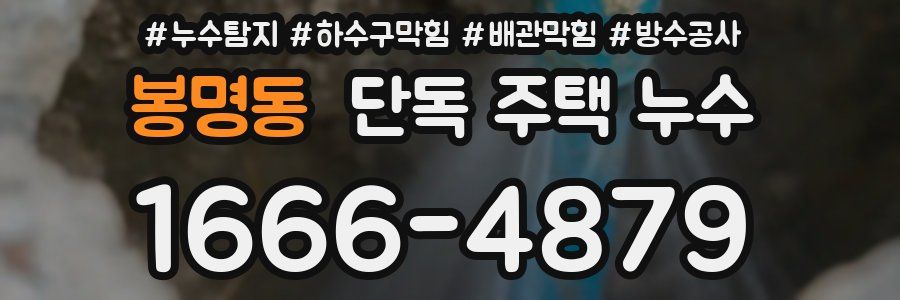 봉명동 단독 주택 누수