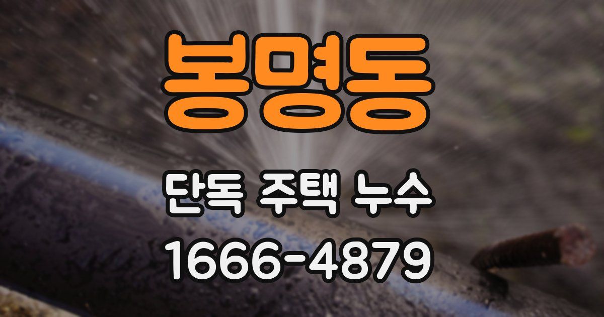 봉명동 단독 주택 누수