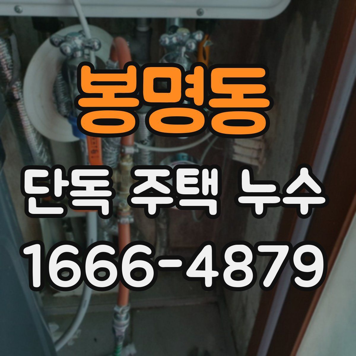 봉명동 단독 주택 누수