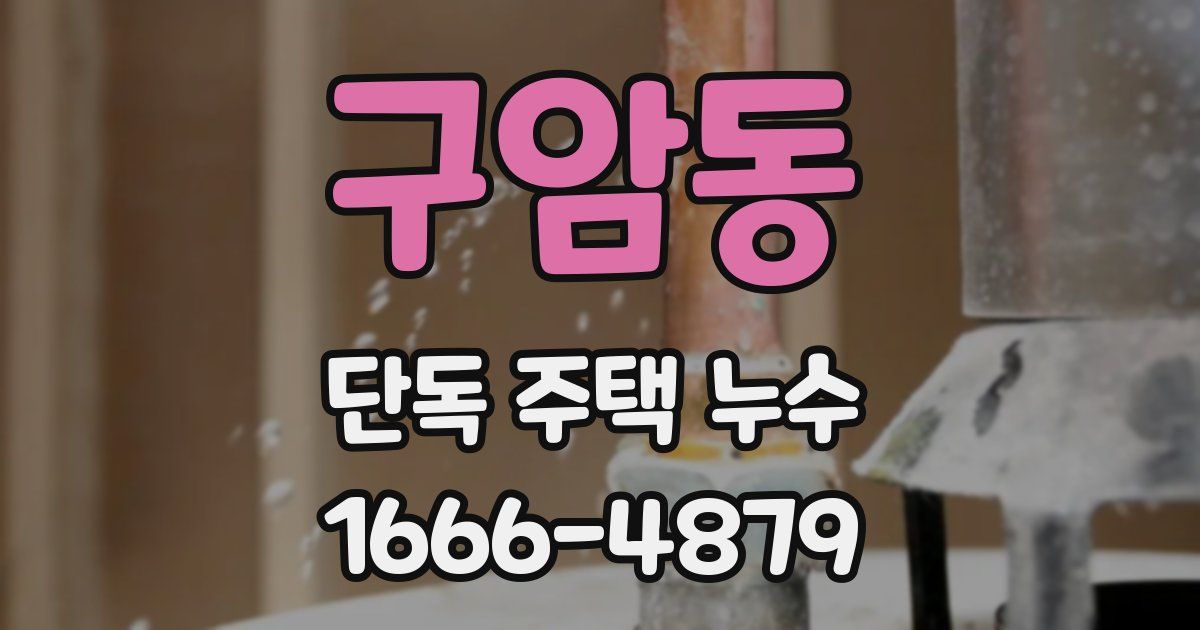 구암동 단독 주택 누수