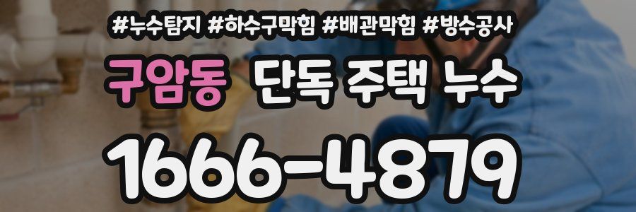 구암동 단독 주택 누수