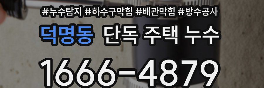 덕명동 단독 주택 누수