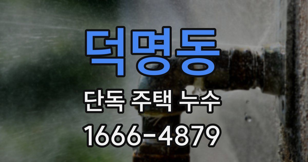 덕명동 단독 주택 누수