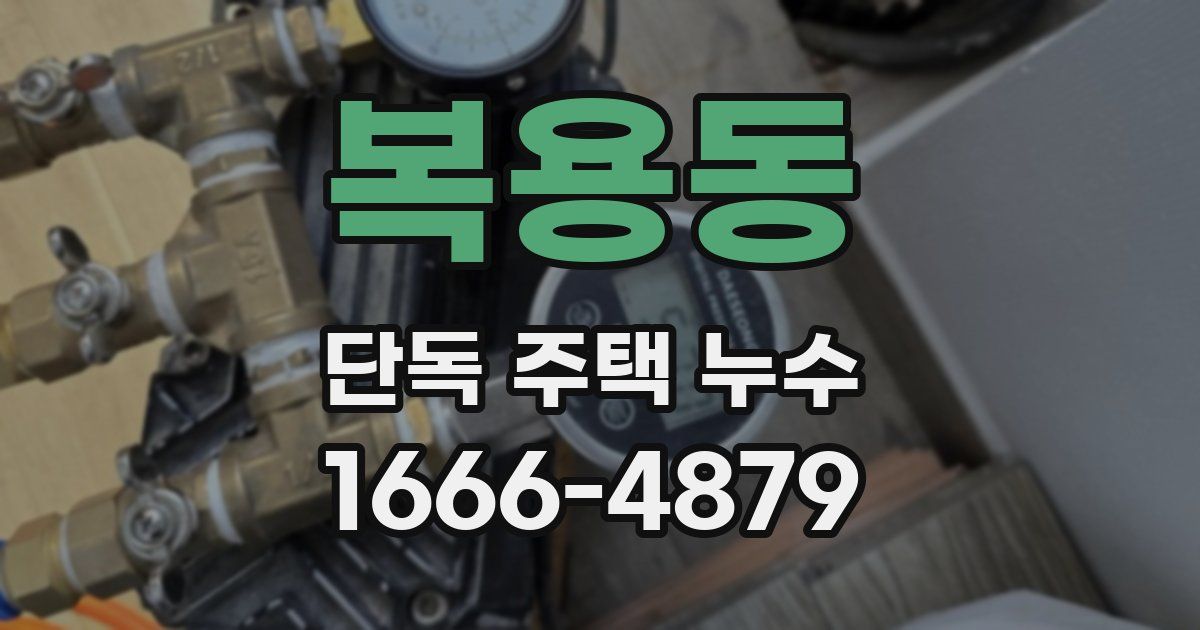 복용동 단독 주택 누수
