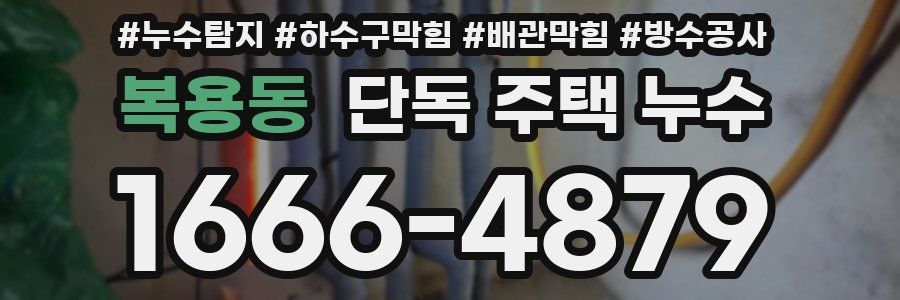 복용동 단독 주택 누수
