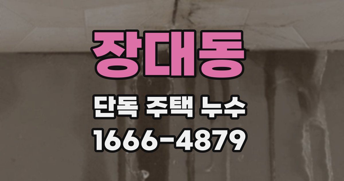 장대동 단독 주택 누수