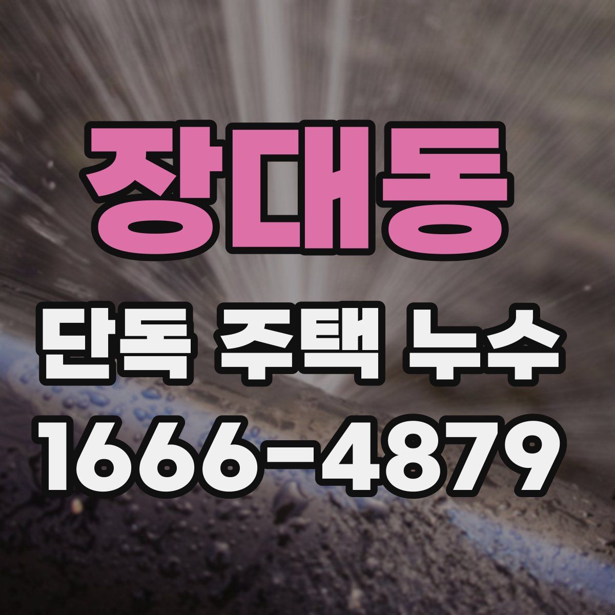 장대동 단독 주택 누수