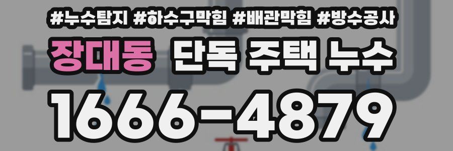 장대동 단독 주택 누수