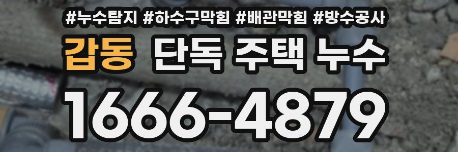 갑동 단독 주택 누수