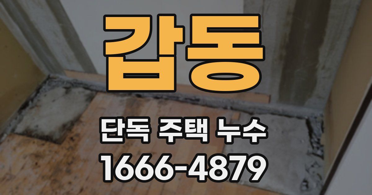 갑동 단독 주택 누수