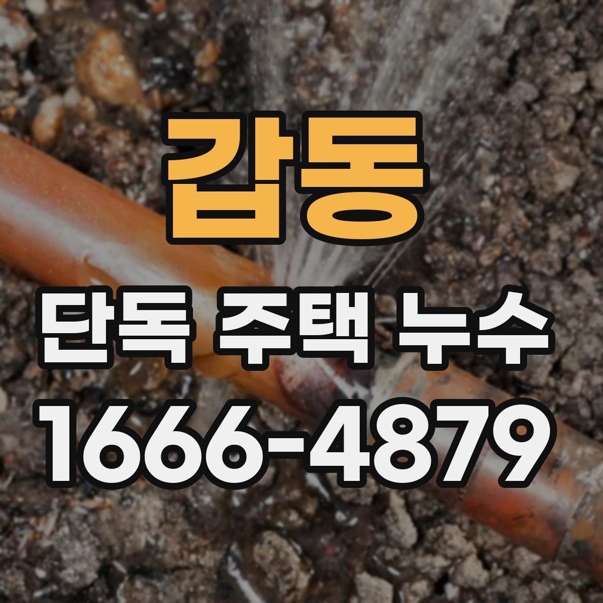 갑동 단독 주택 누수