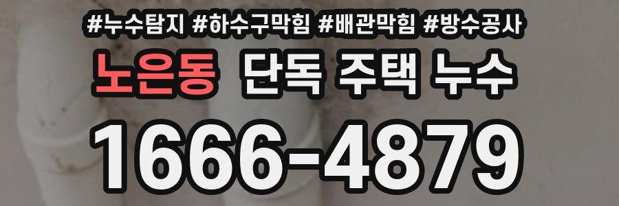 노은동 단독 주택 누수
