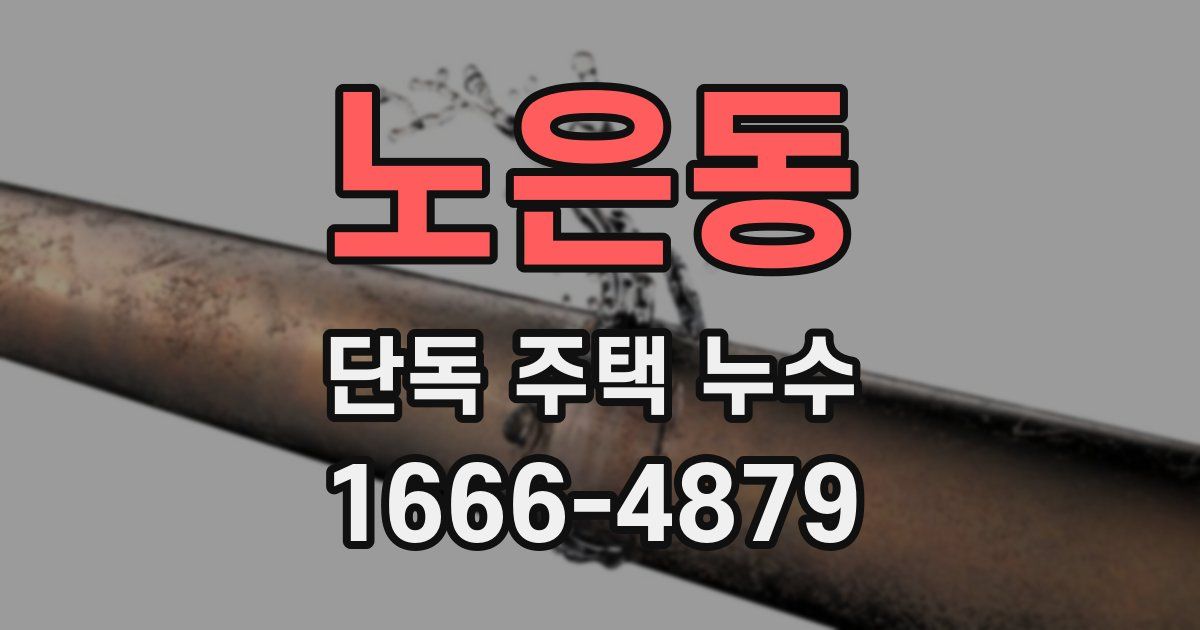노은동 단독 주택 누수