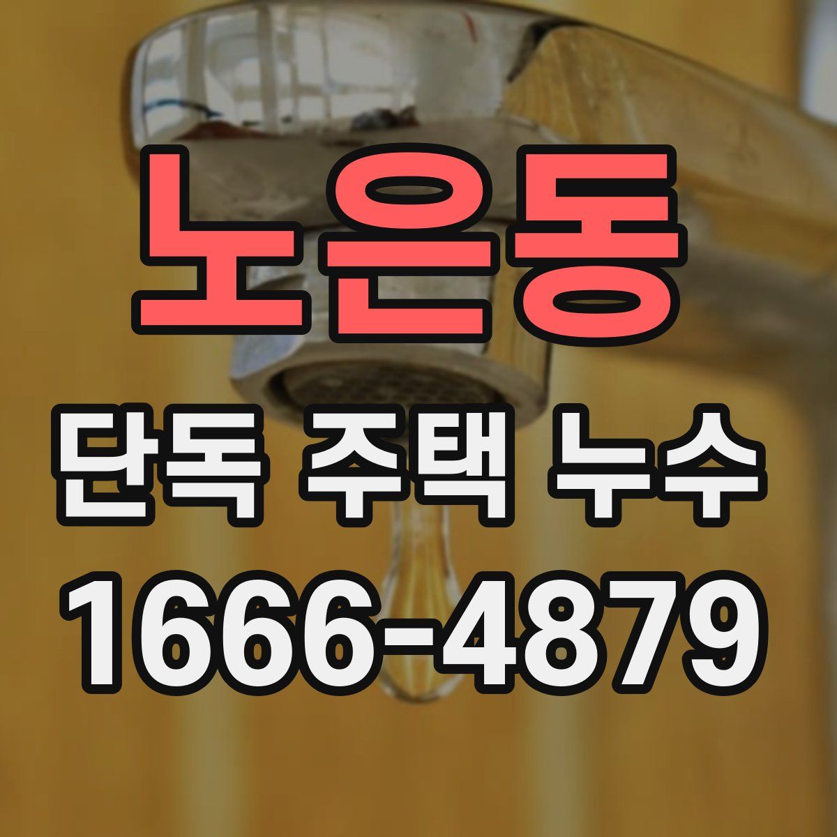 노은동 단독 주택 누수