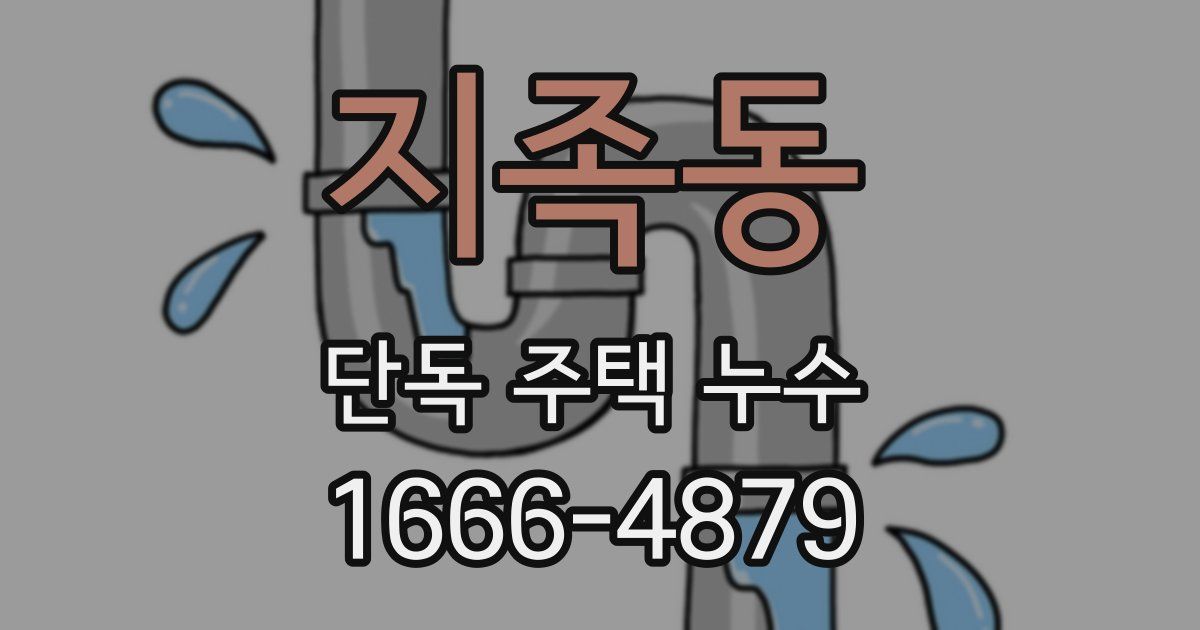 지족동 단독 주택 누수