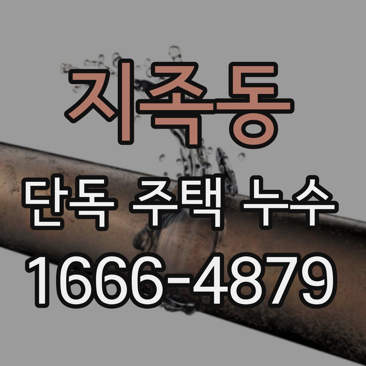지족동 단독 주택 누수
