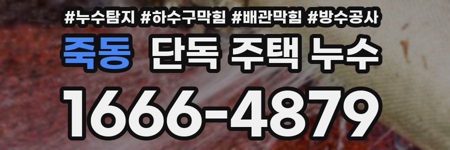 죽동 단독 주택 누수
