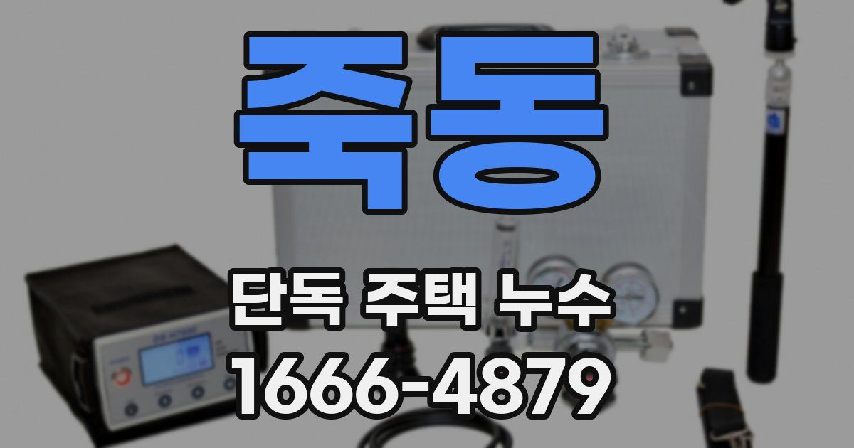 죽동 단독 주택 누수