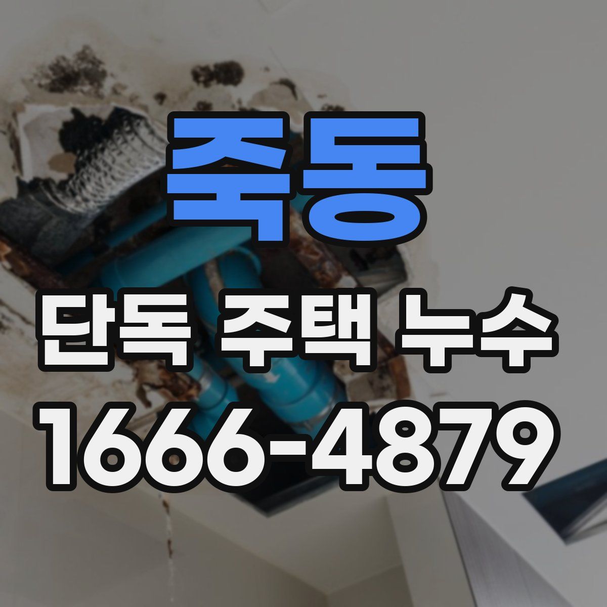 죽동 단독 주택 누수