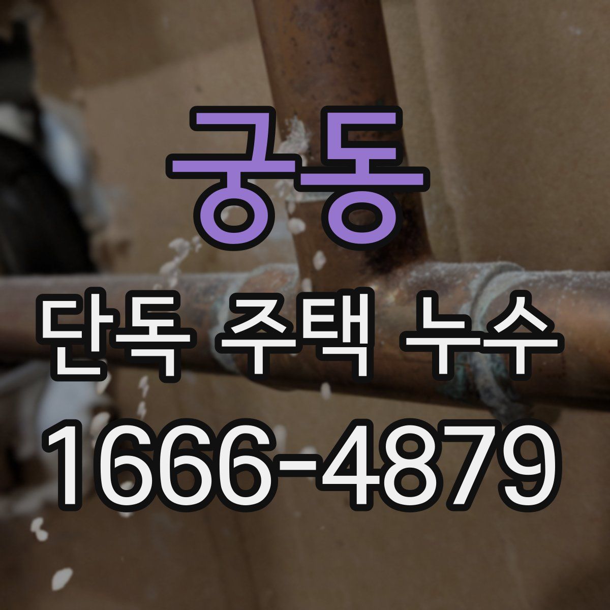 궁동 단독 주택 누수
