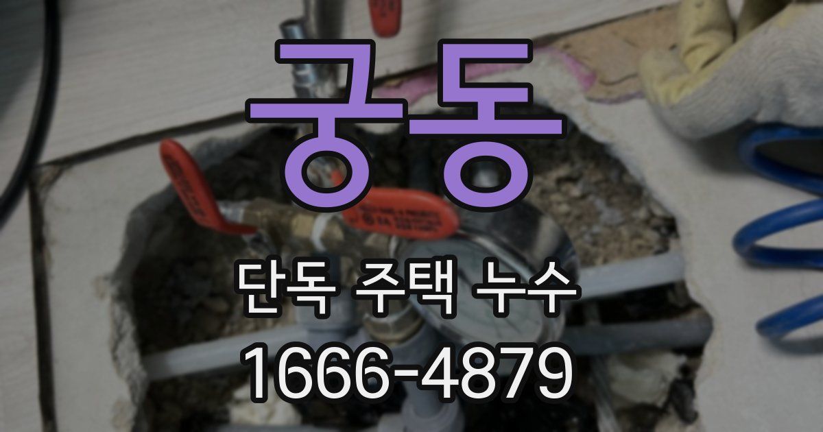 궁동 단독 주택 누수