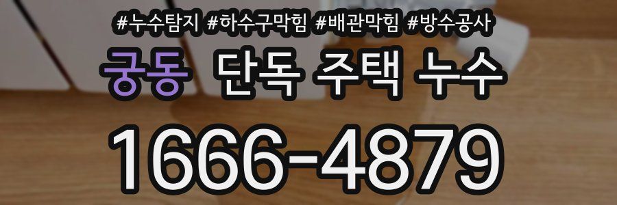 궁동 단독 주택 누수