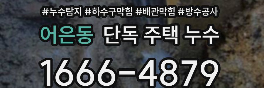 어은동 단독 주택 누수