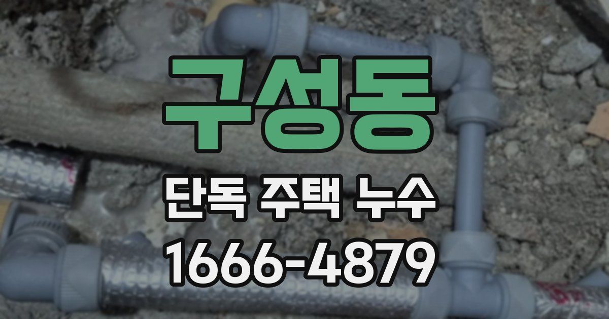 구성동 단독 주택 누수