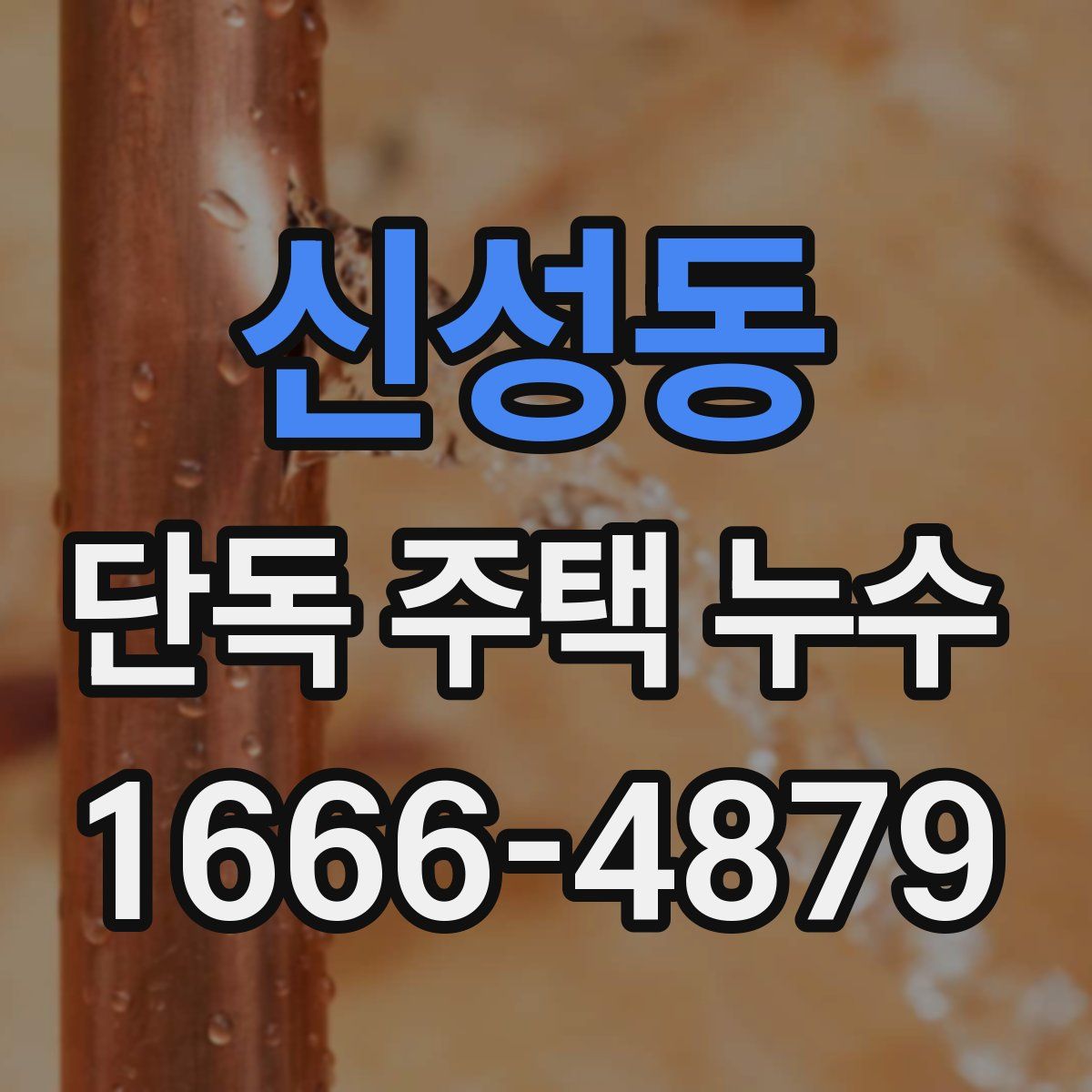 신성동 단독 주택 누수